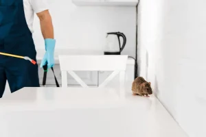 desinsectisation Asnières sur Seine
