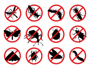 dératisation La Falaise