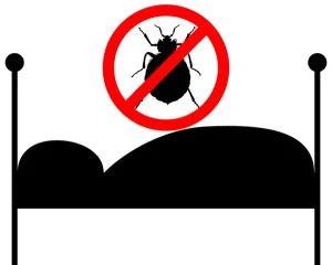 desinsectisation Courdimanche sur Essonne