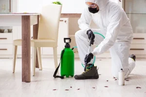 Comment fonctionne une dératisation par ultrasons