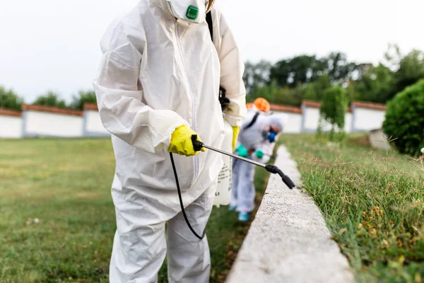 Désinsectisation à domicile quelles sont les précautions à prendre