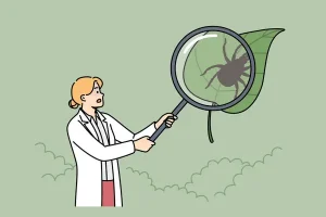 Les étapes à suivre pour une désinsectisation réussie et durable