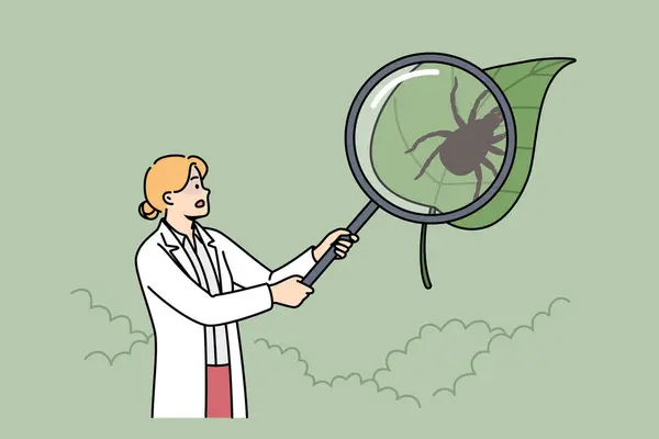 Punaise de lit Presles