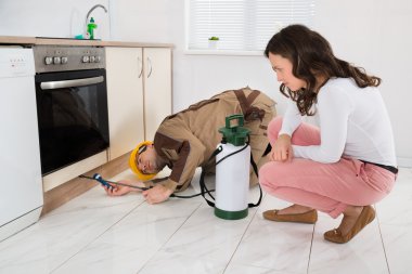 dératisation Champcueil