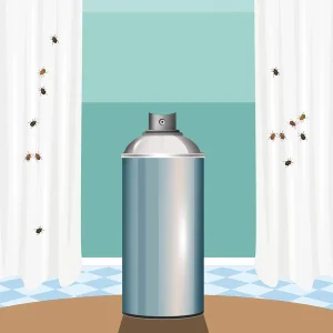 desinsectisation Noisy le Grand