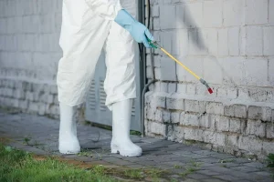 desinsectisation Nanteuil sur Marne