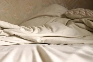 Punaise de lit Boussy Saint Antoine