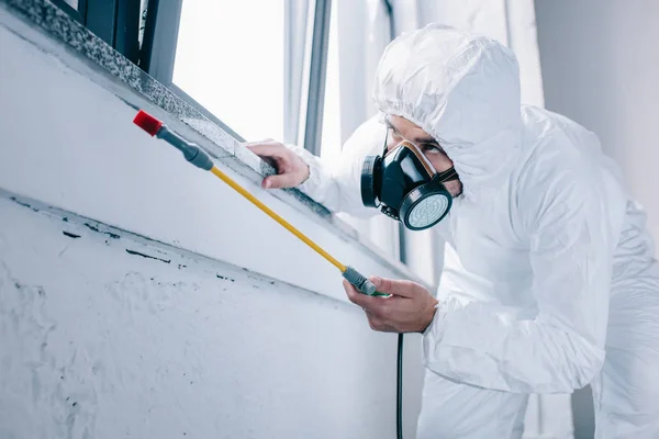 desinsectisation Franconville