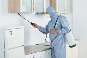 desinsectisation Genainville