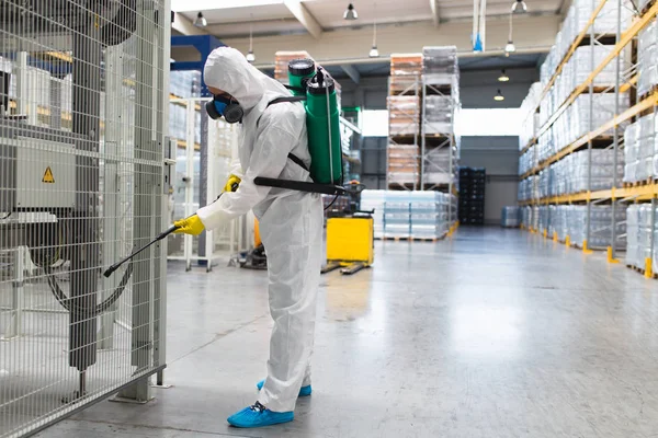 Les techniques modernes de dératisation utilisées par les professionnels