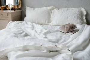 Punaise de lit Paris 4