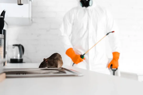 Désinsectisation des hôpitaux comment garantir un environnement stérile
