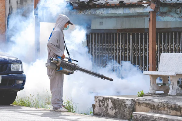 Dératisation comment sécuriser son garage contre les rats