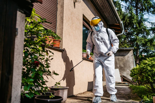 Comment désinsectiser un appartement infesté de punaises de lit